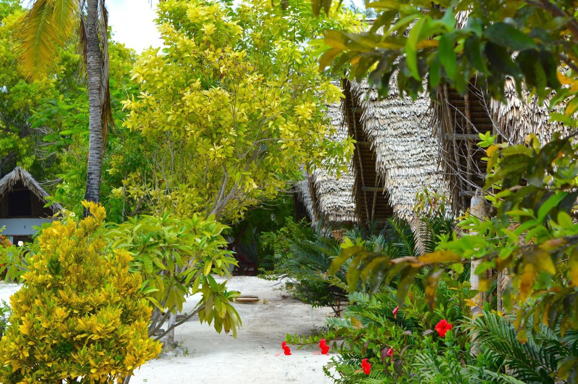 New Jambo Bungalows Paje Bagian luar foto